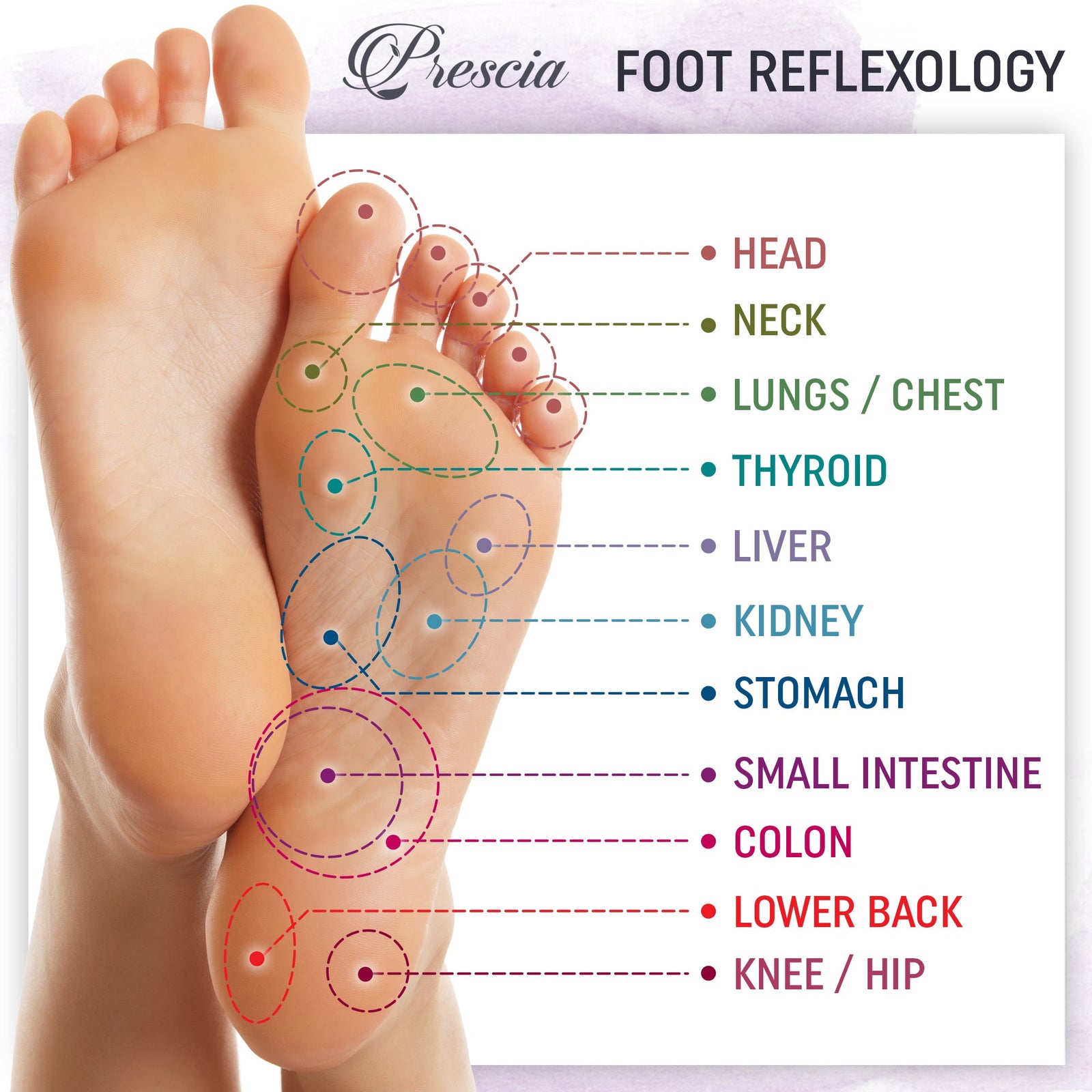 Prescia Cleansing Detox Foot Pads - Prescia